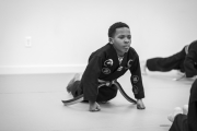PushUpBW