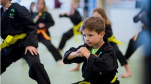 Virtual martial arts classes online