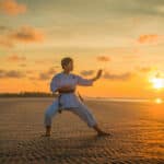 Martial arts and resiliency